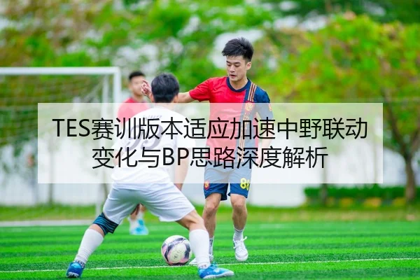 TES赛训版本适应加速中野联动变化与BP思路深度解析 | kaiyun